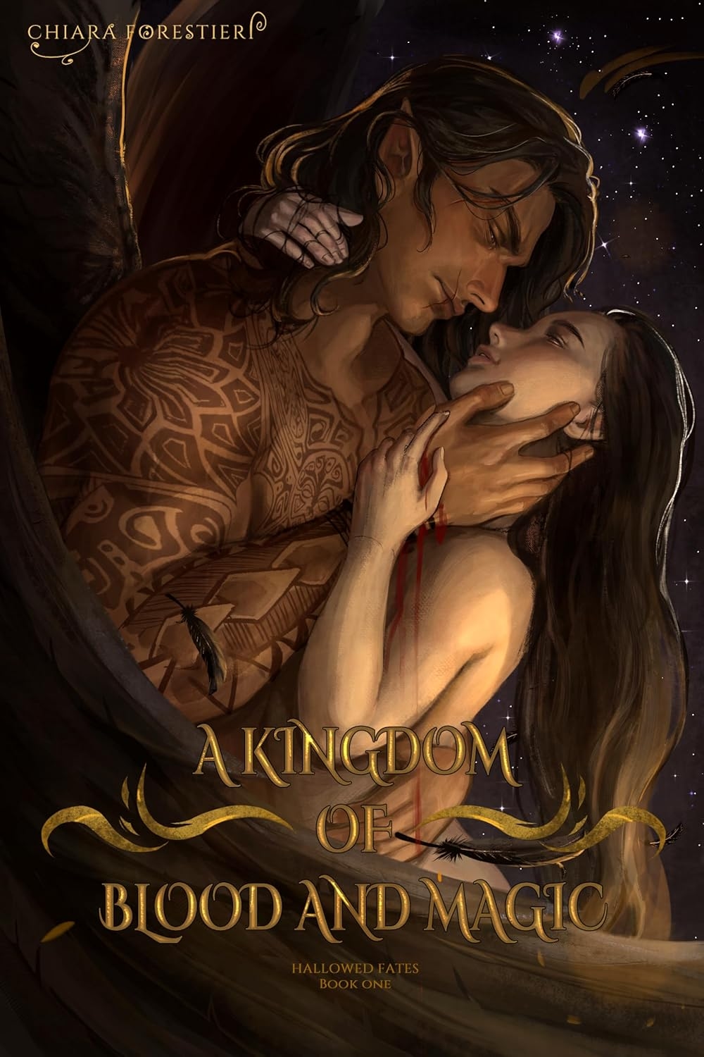front cover of a kingdom of blood and magic