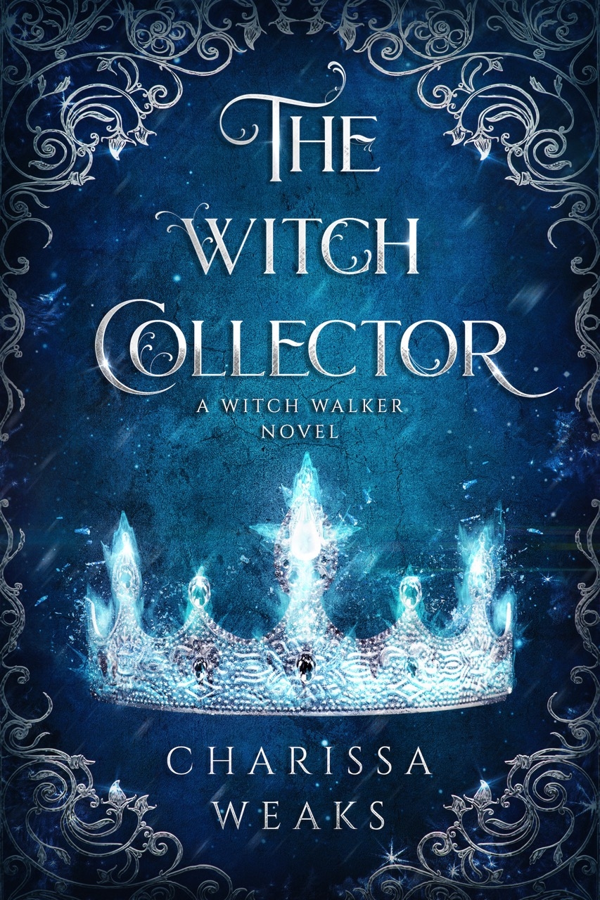 front cover of the witch collector