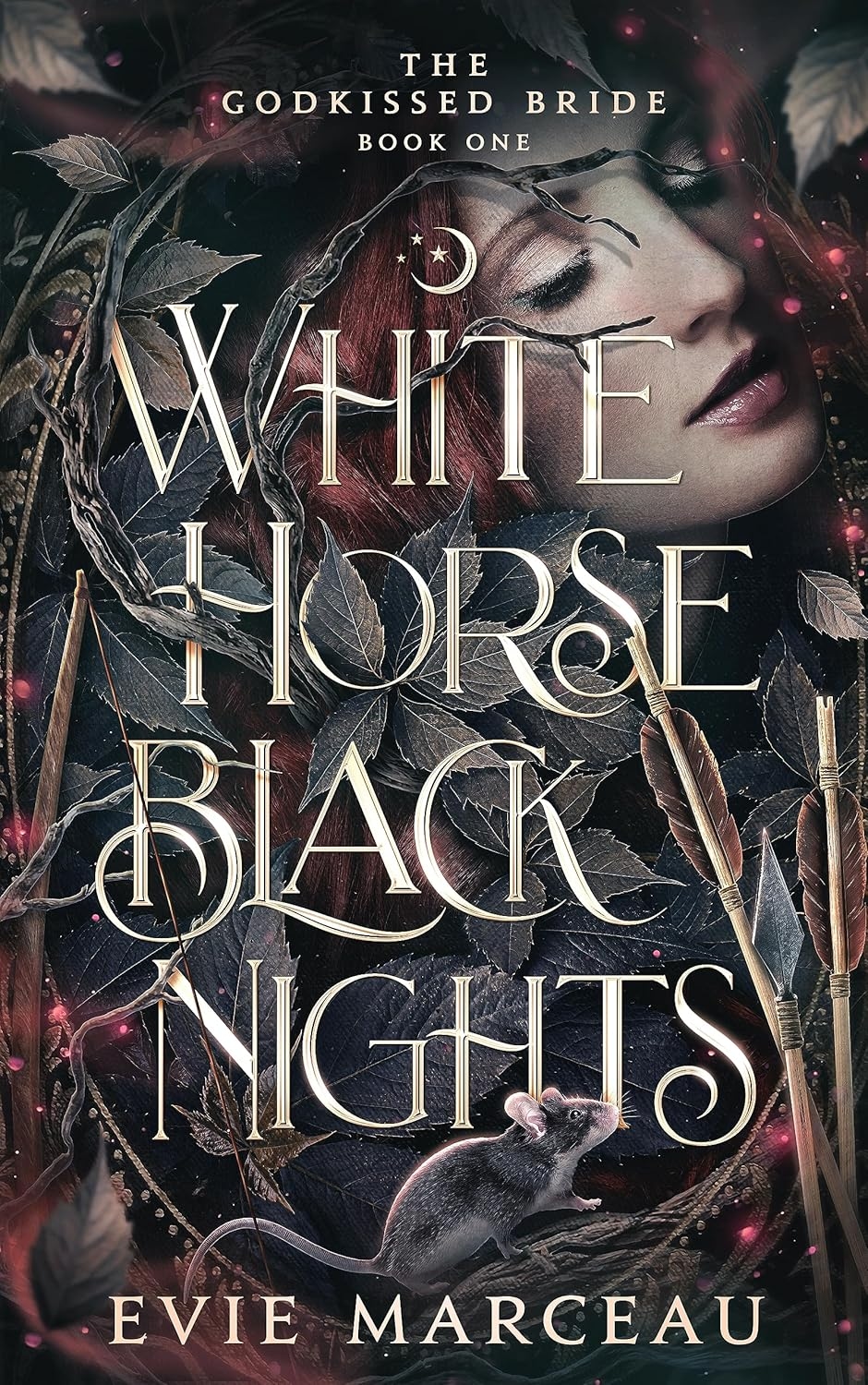 front cover of white horse black nights