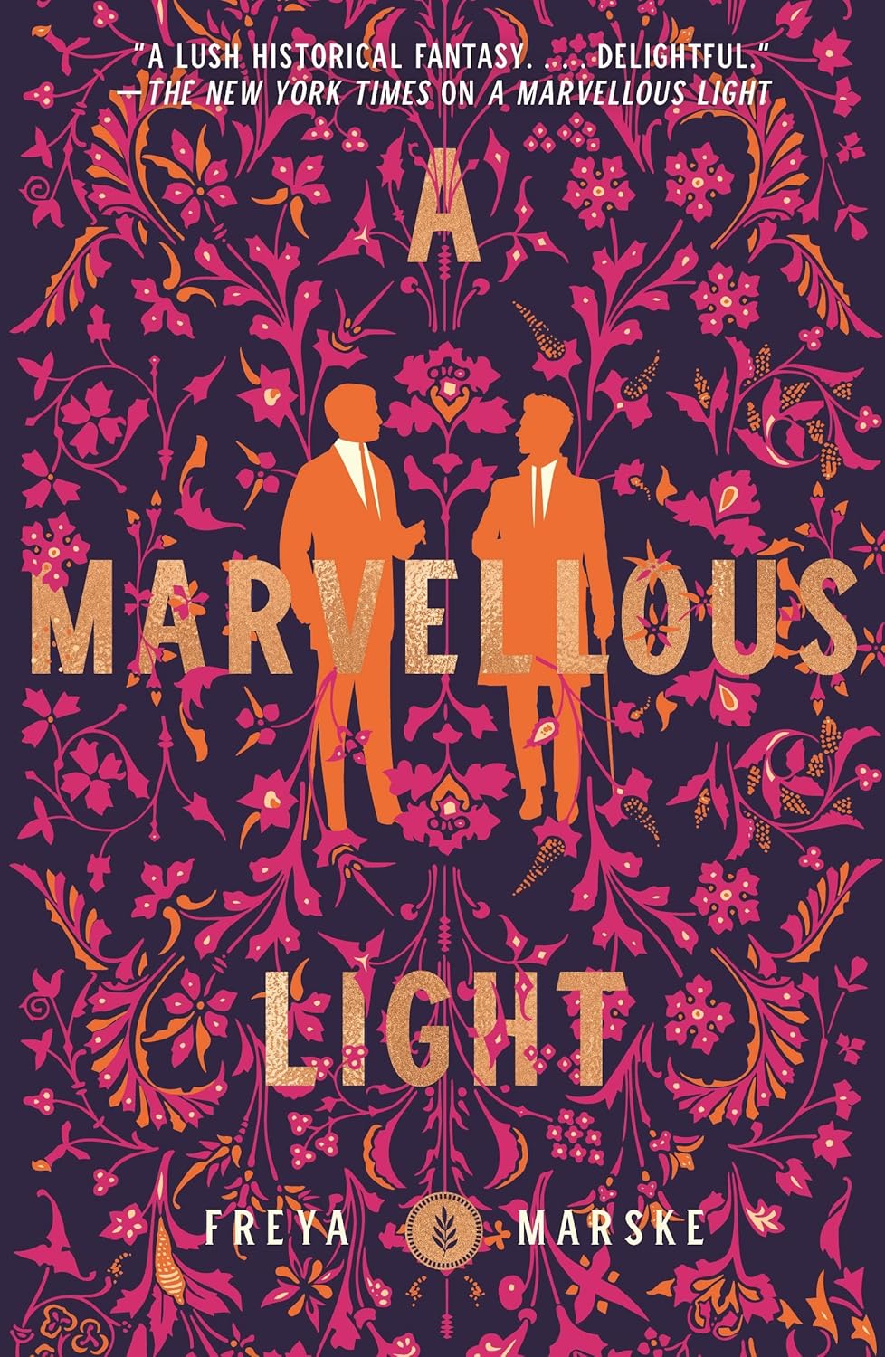 front cover of a marvellous light 
