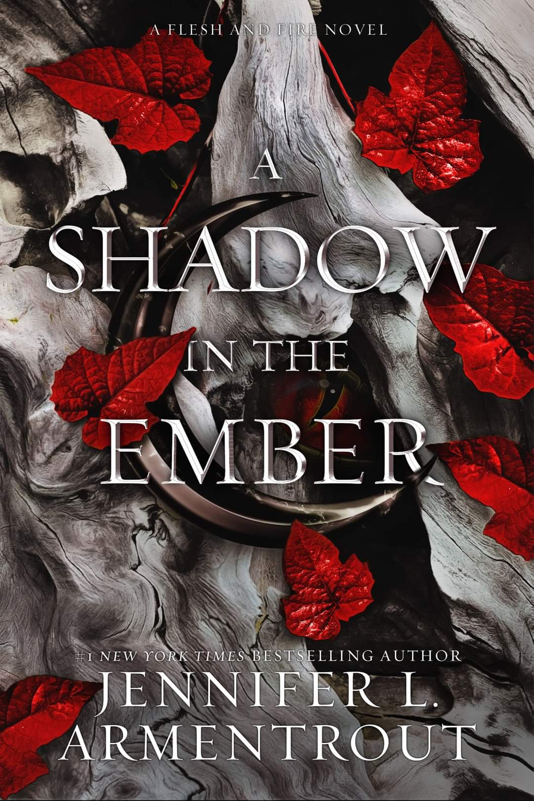 front cover of a shadow in the ember