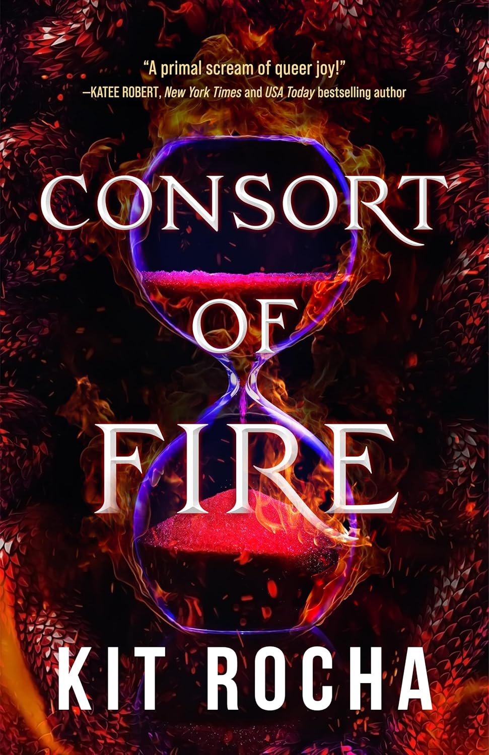 front cover of consort of fire