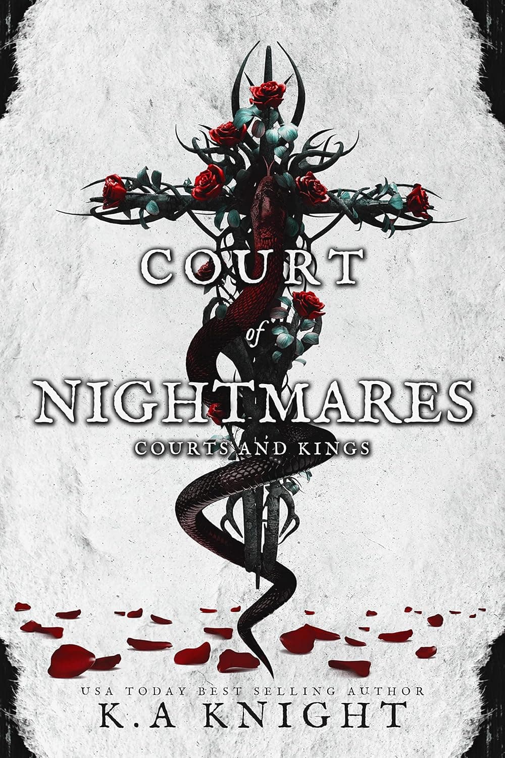 front cover of court of nightmares
