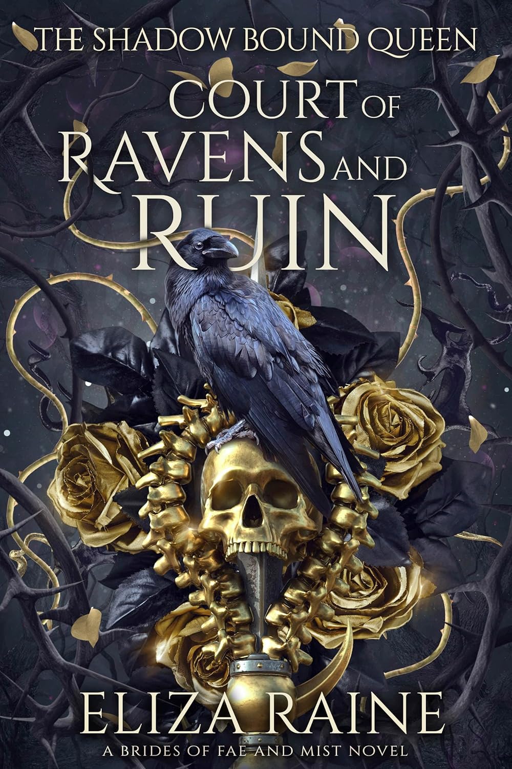 front cover of court of ravens and ruin
