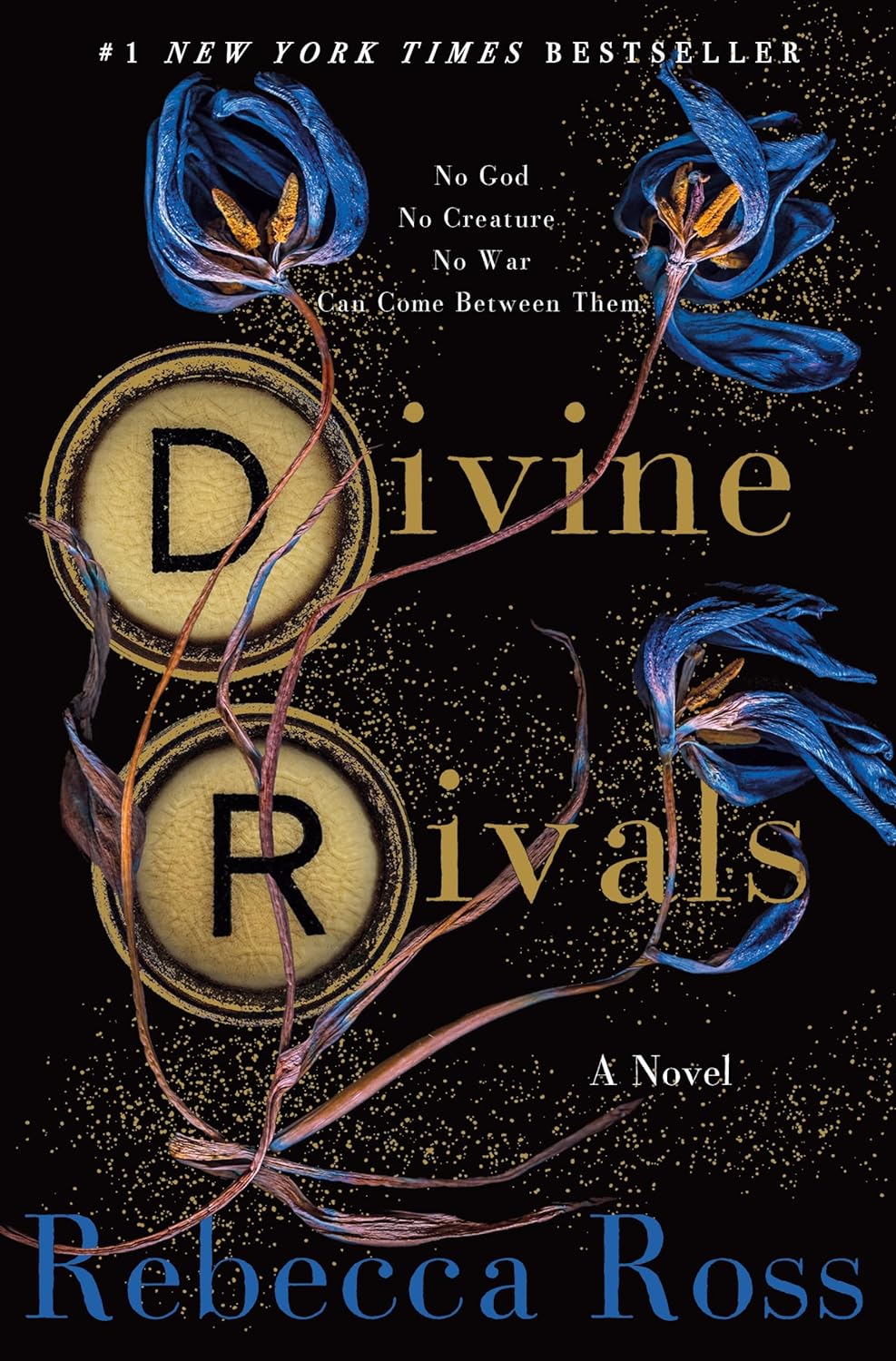 front cover of divine rivals