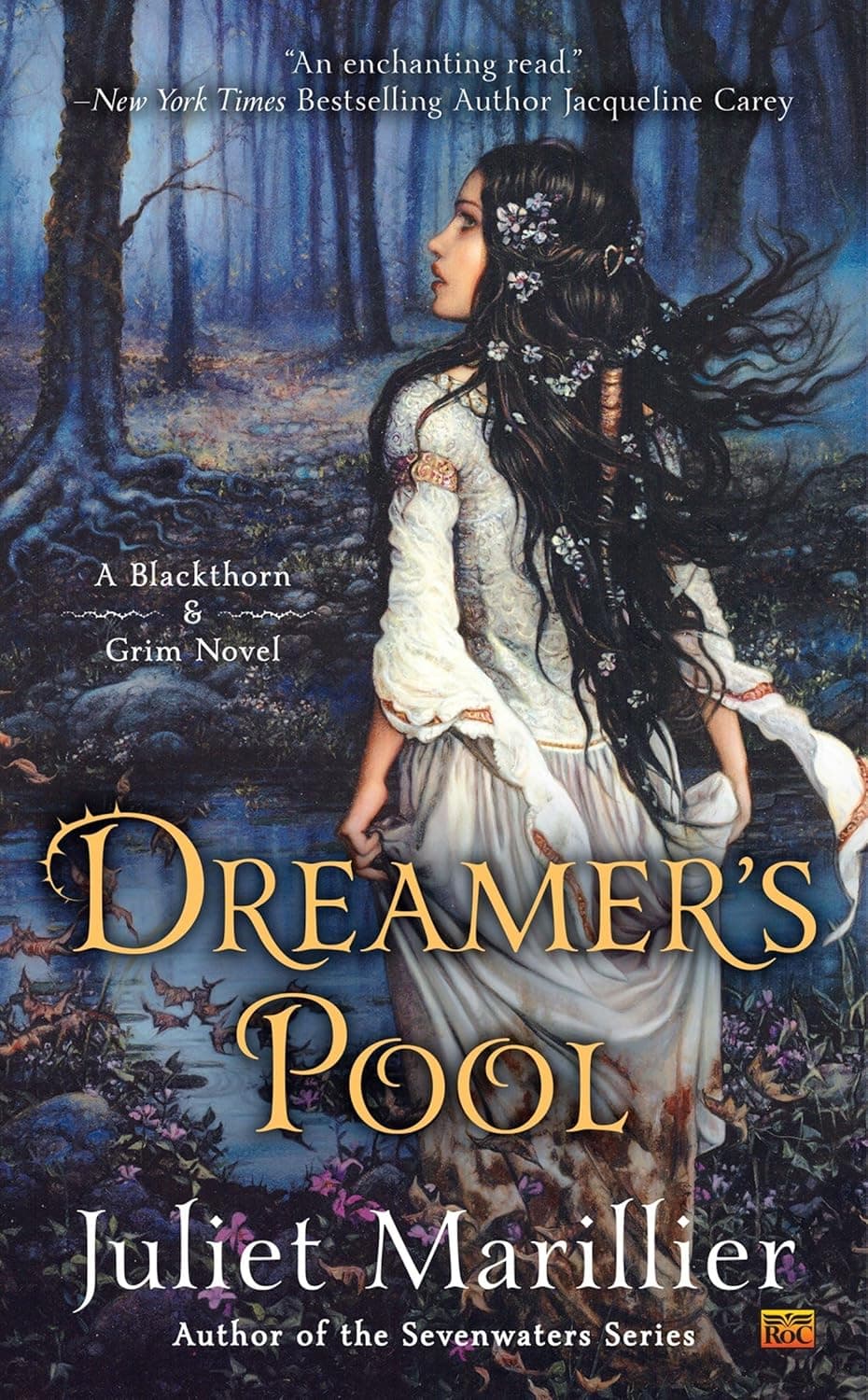 front cover of dreamer's pool