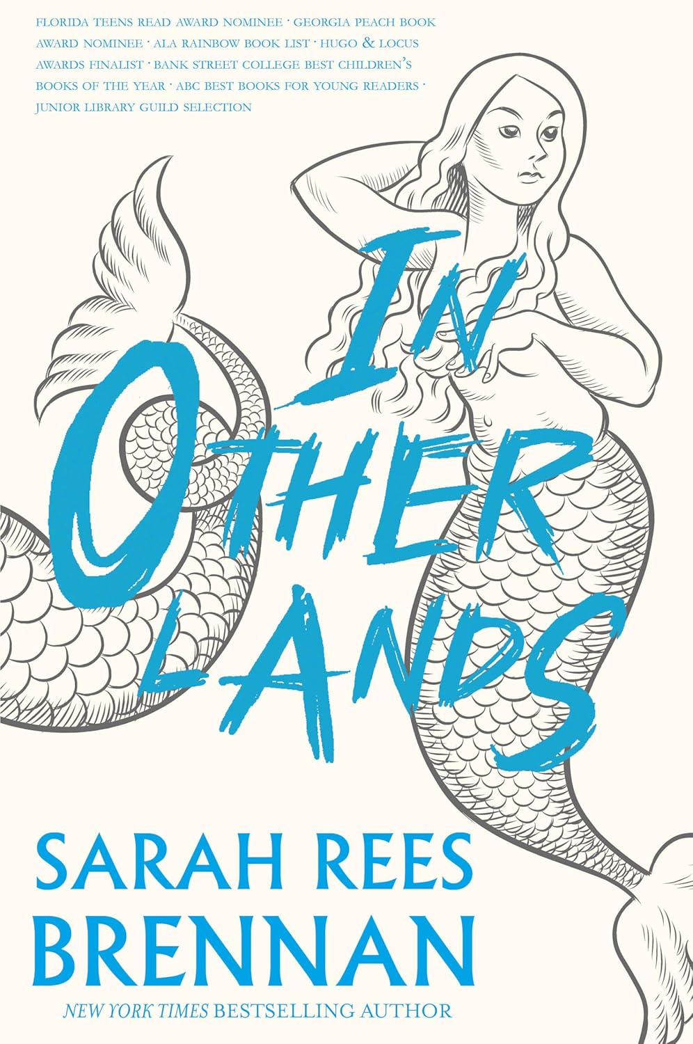 front cover of in other lands