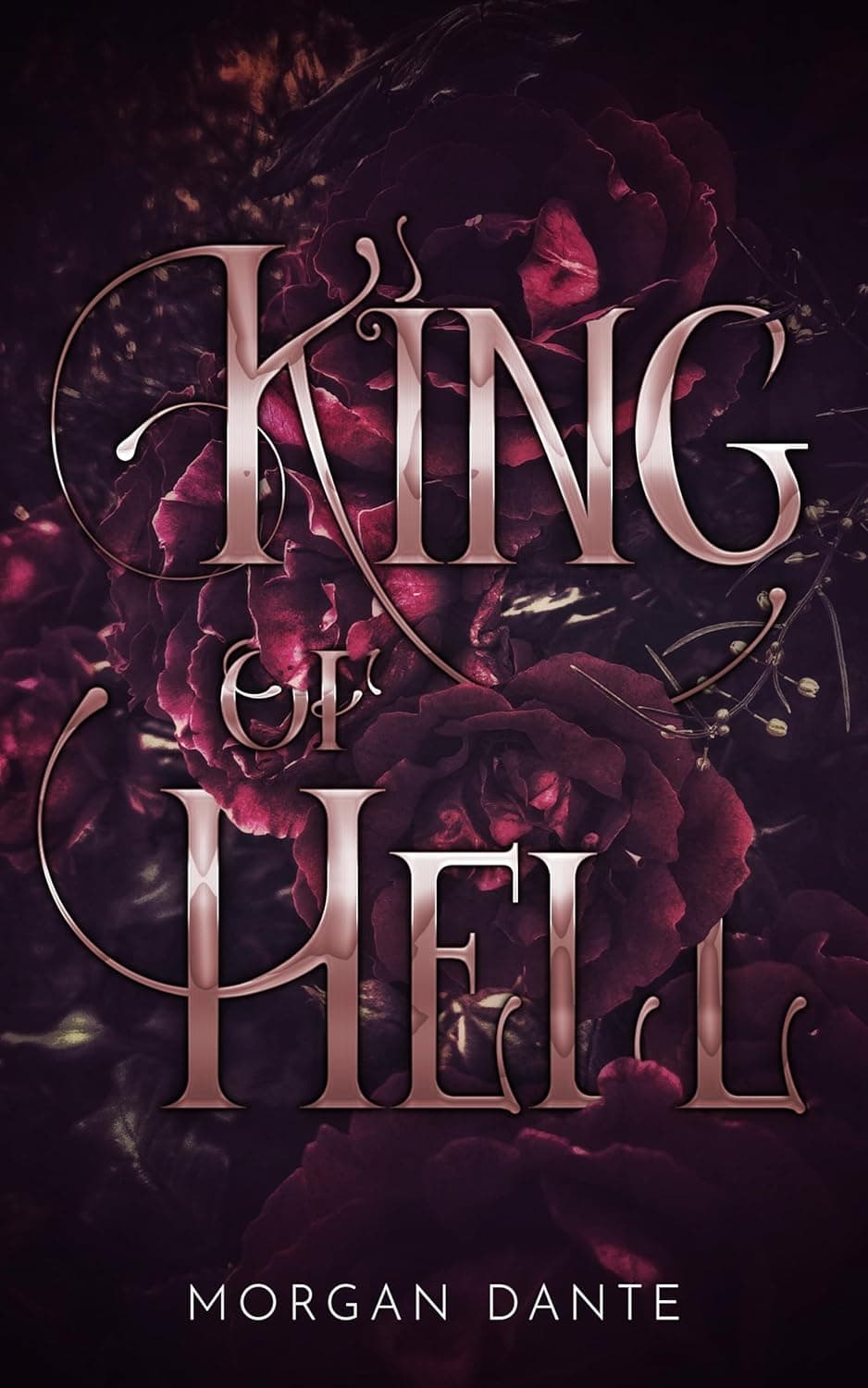 front cover of king of hell