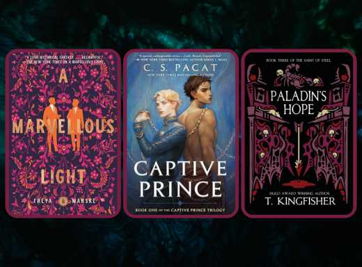 cover image for a blog post on mm romantasy books