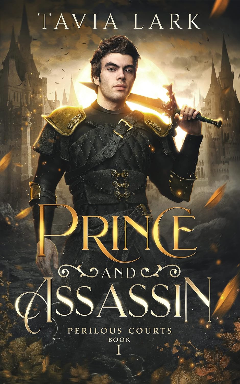 front cover of prince and assassin