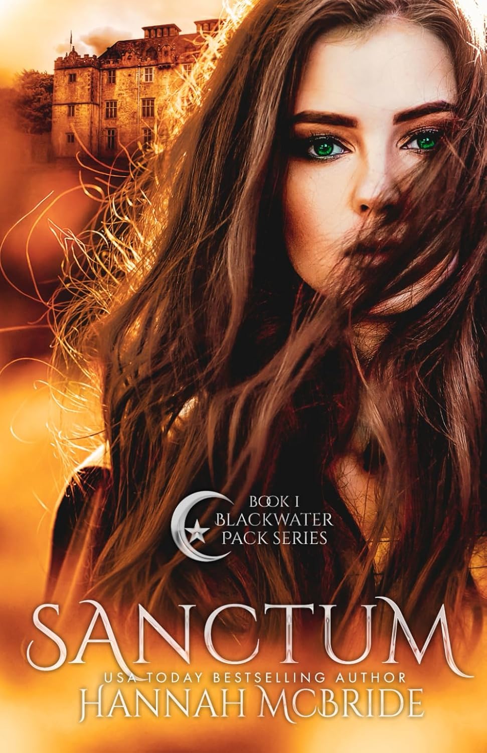 front cover of sanctum