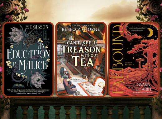 cover image for a blog post on sapphic romantasy