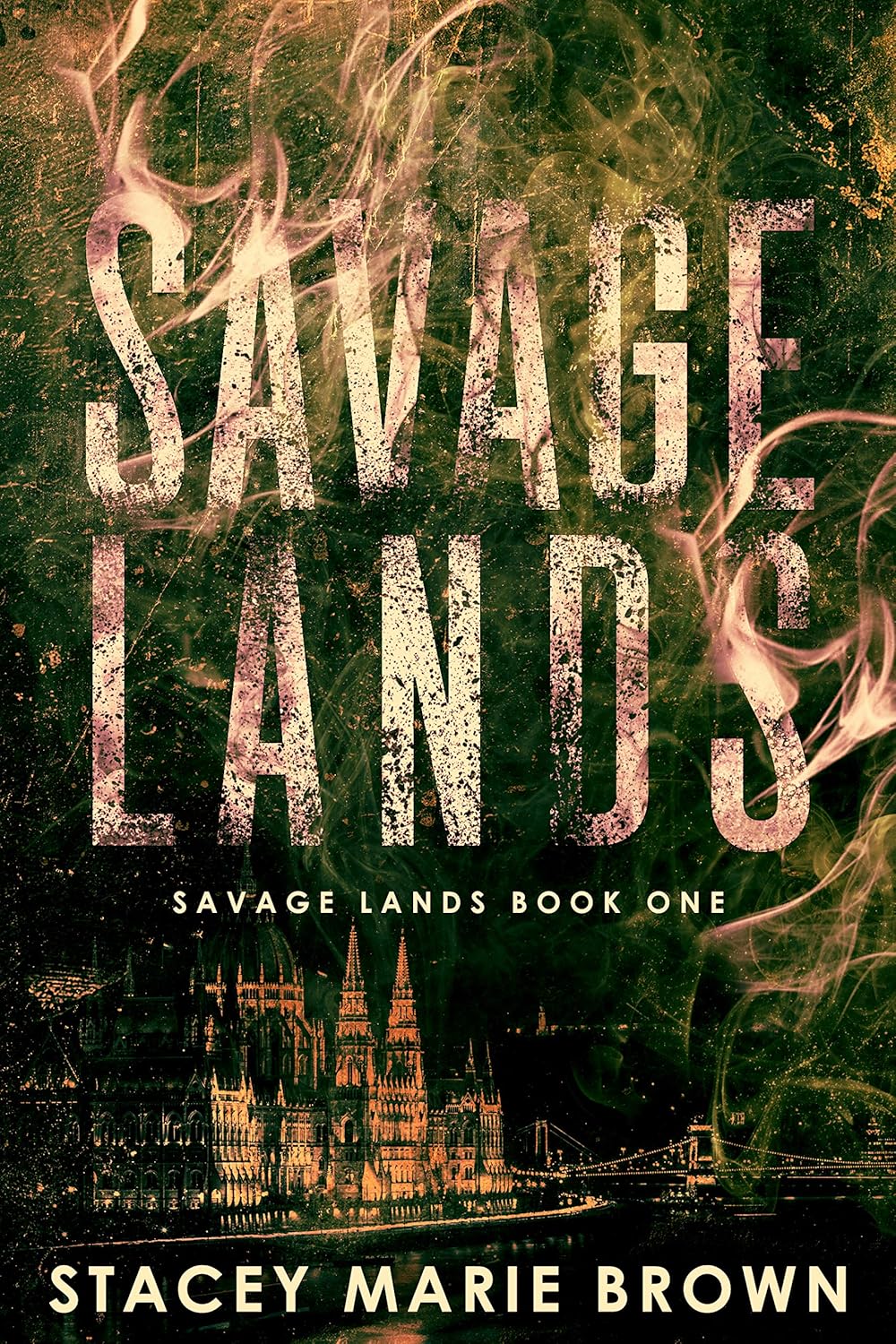 front cover of savage lands