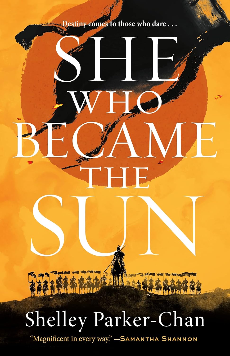 front cover of she who became the sun