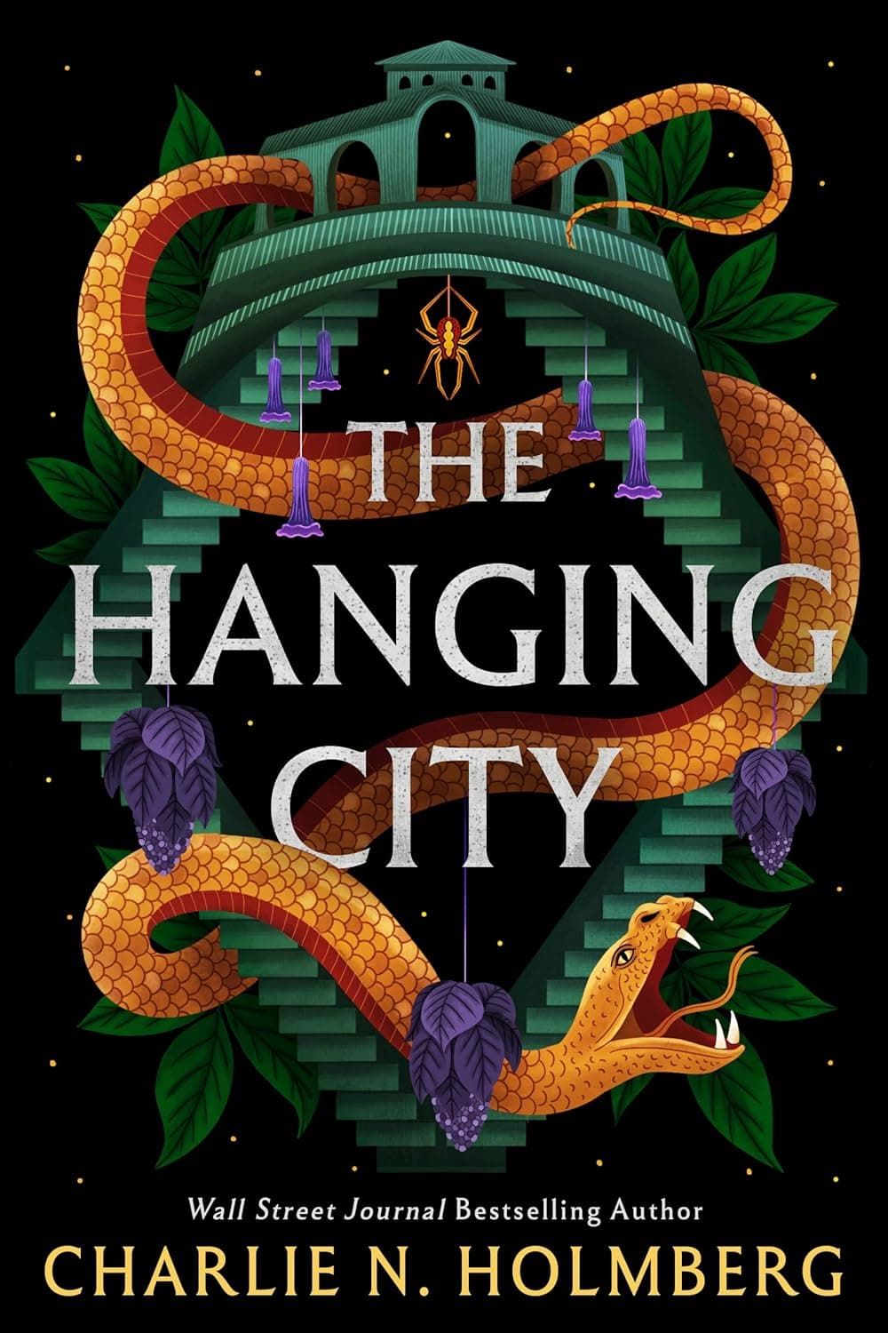 front cover of the hanging city