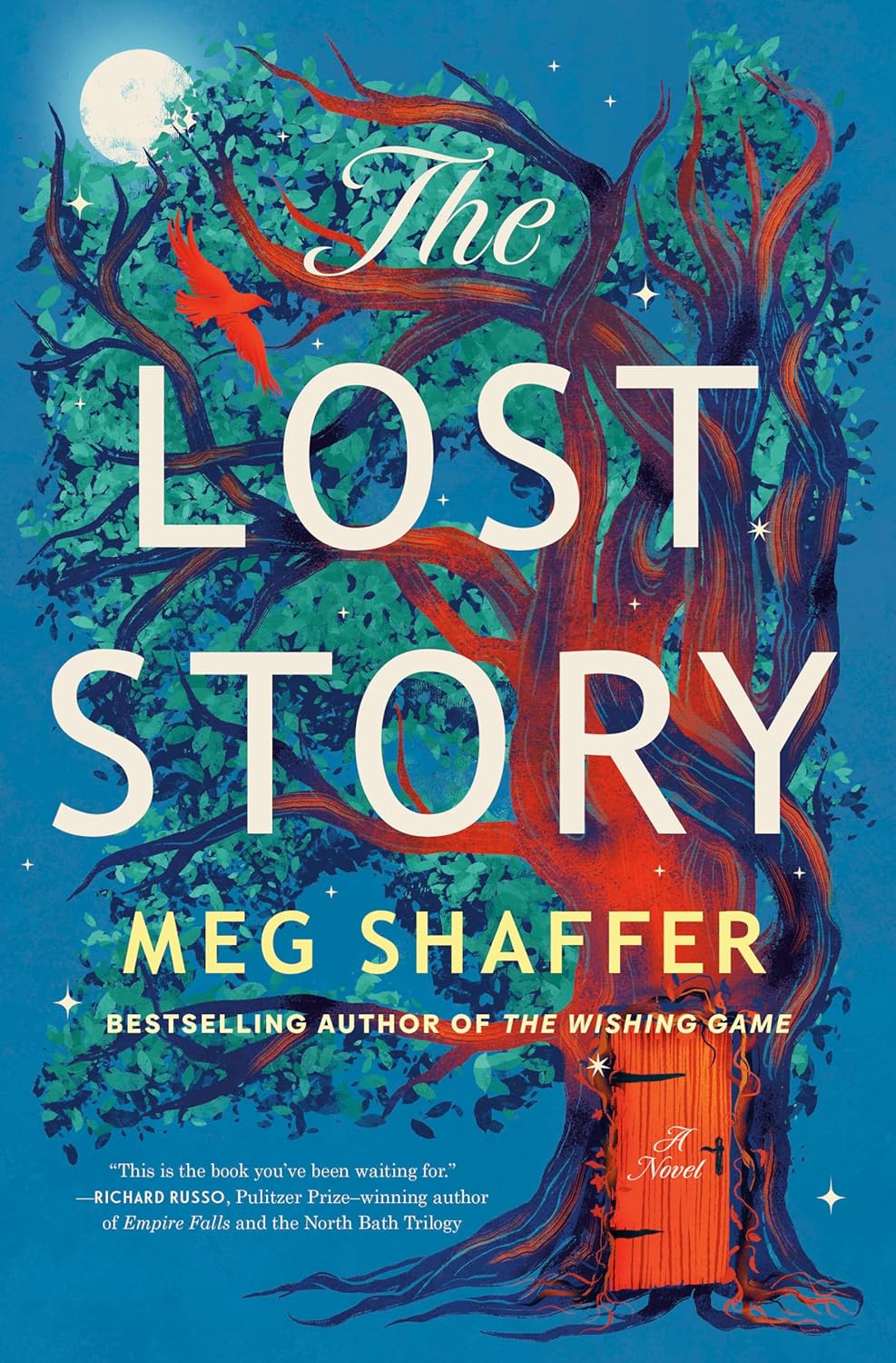 front cover of the lost story