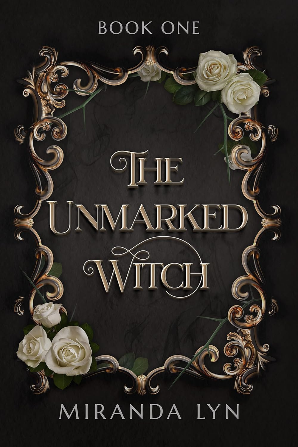 front cover of the unmarked witch