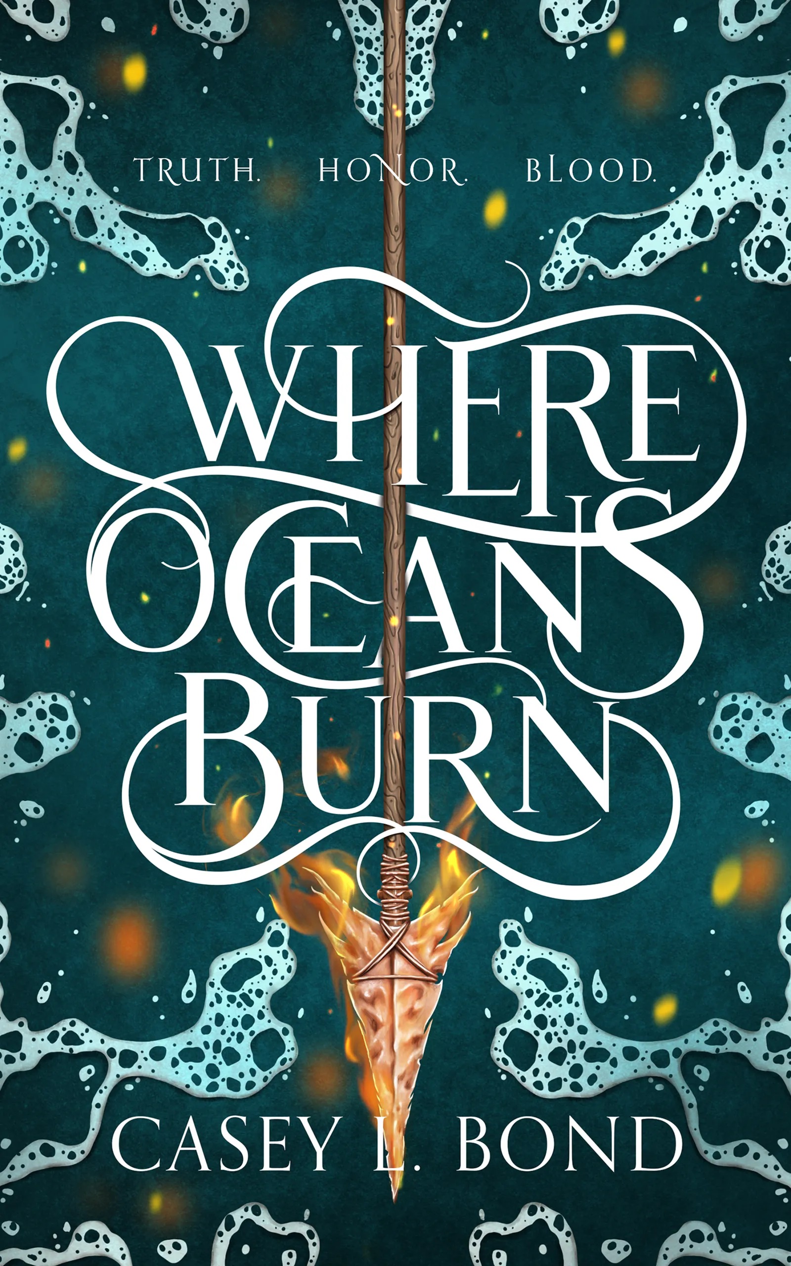 front cover of where oceans burn