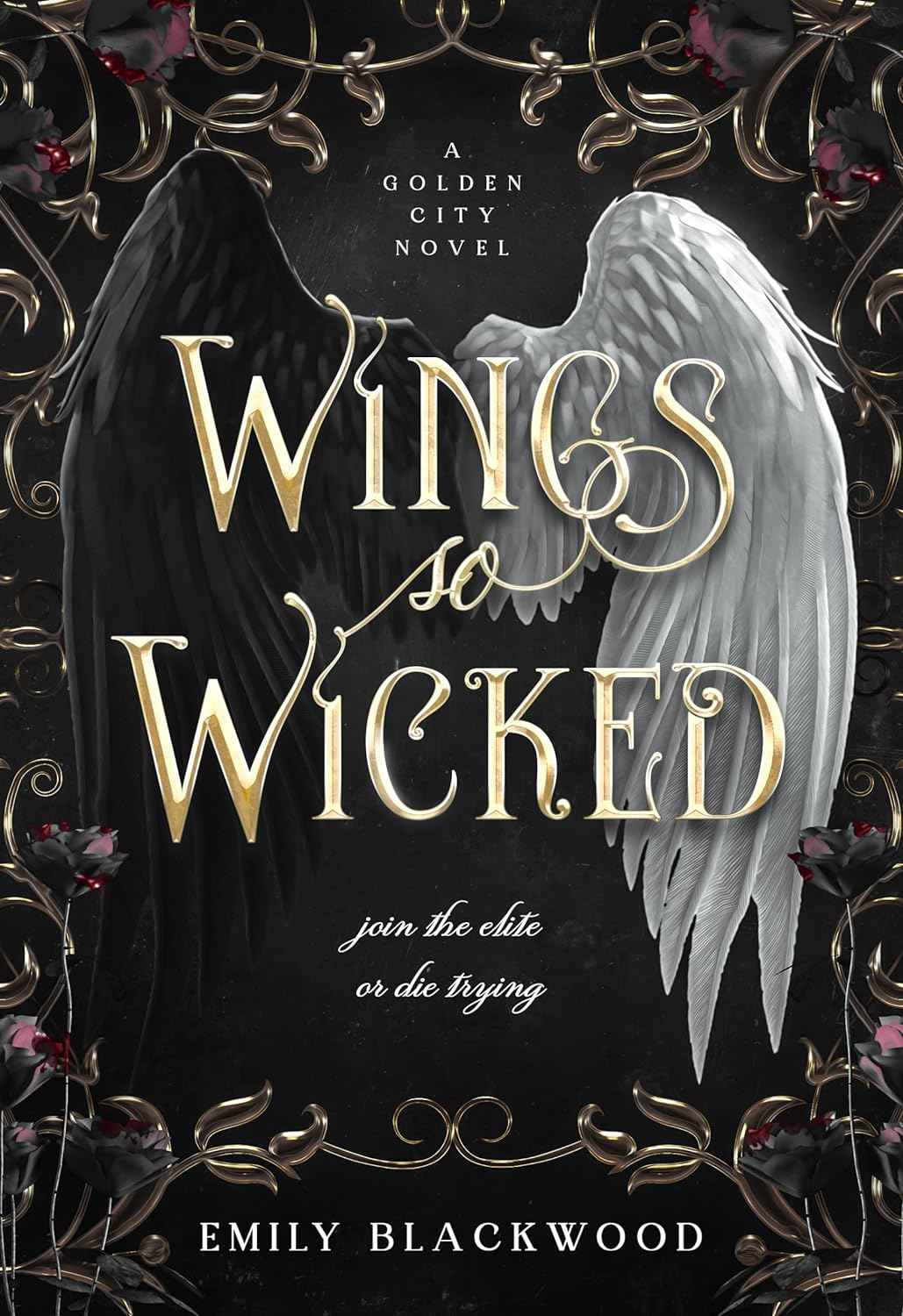 front cover of wings so wicked