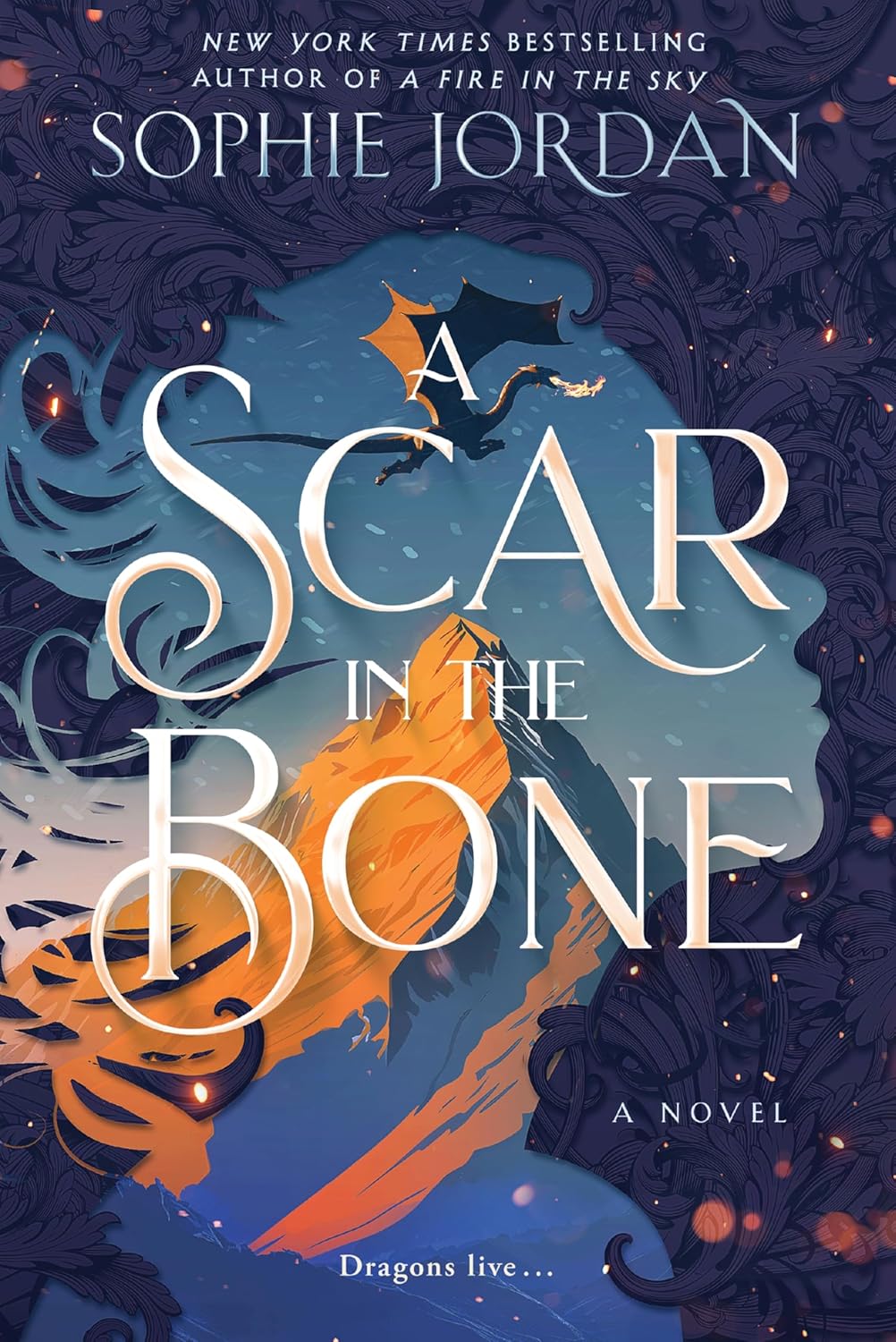 front cover of a scar in the bone
