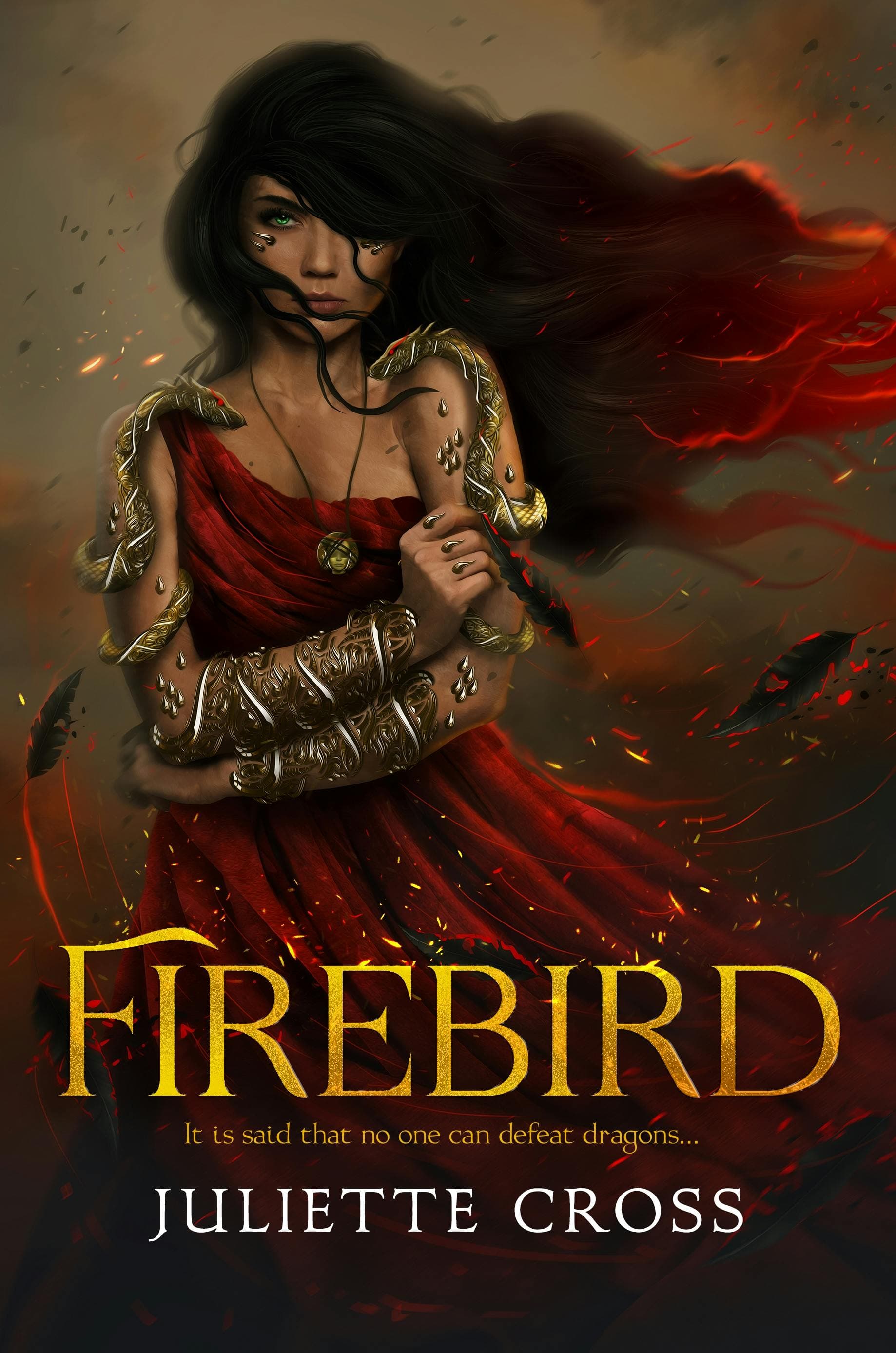 front cover of firebird