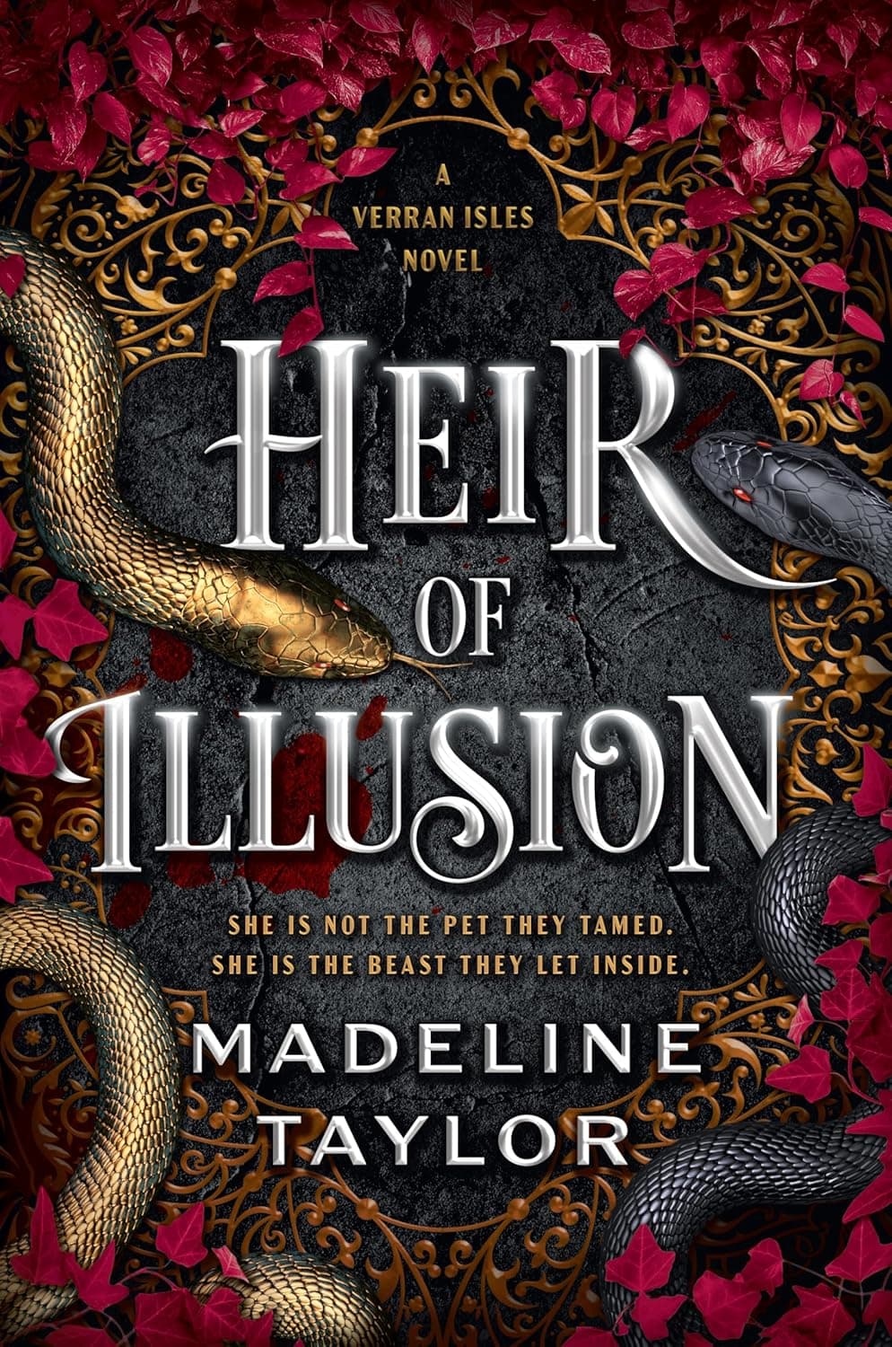 front cover of heir of illusion