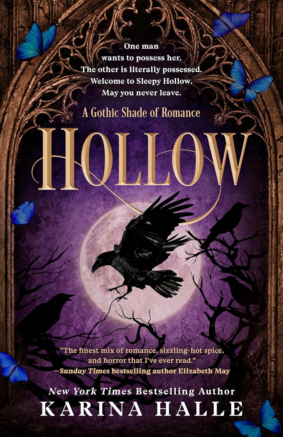 front cover of hollow