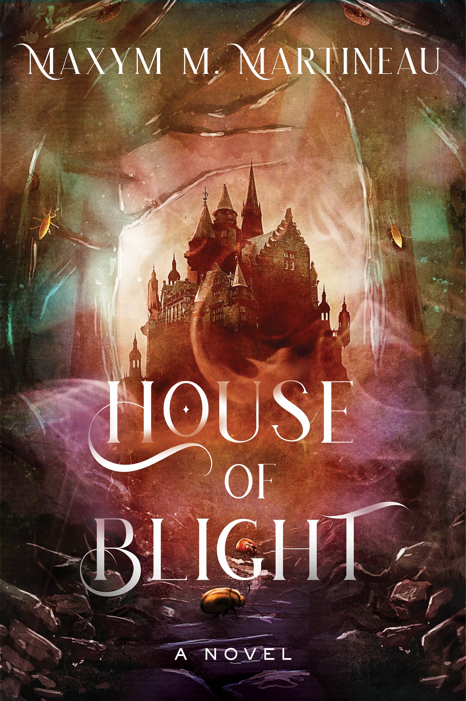 front cover of house of blight