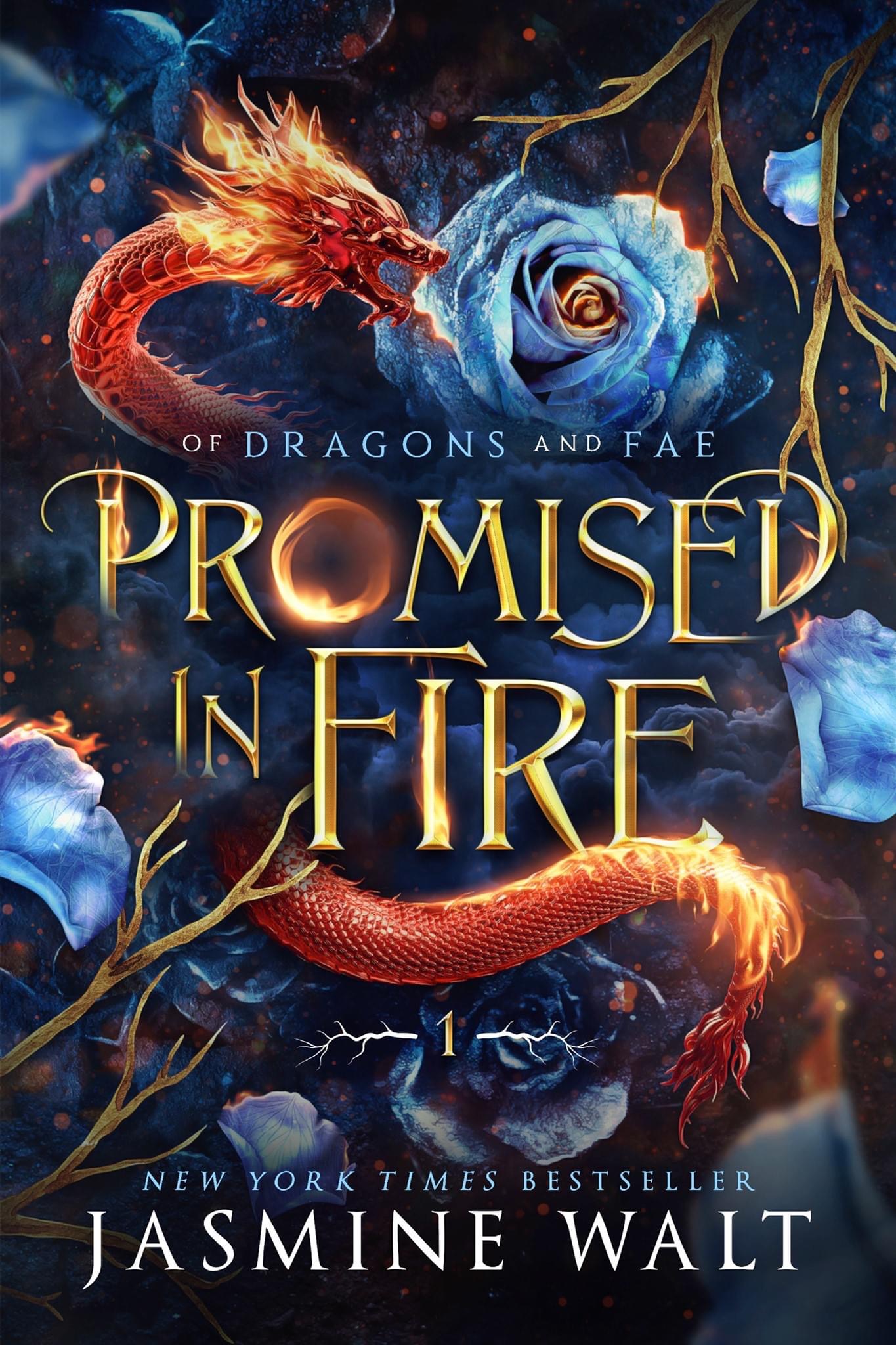 front cover of promised in fire