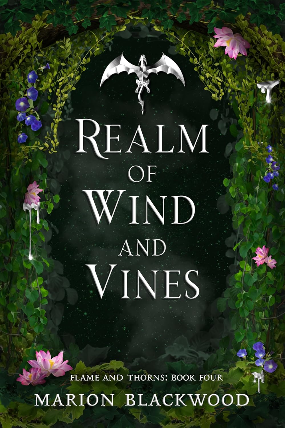 front cover of realm of wind and vines