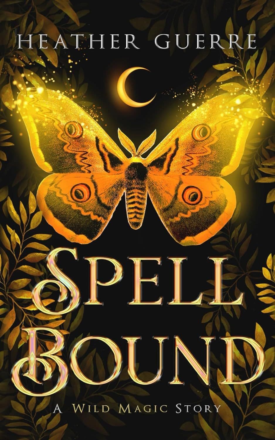 front cover of spell bound