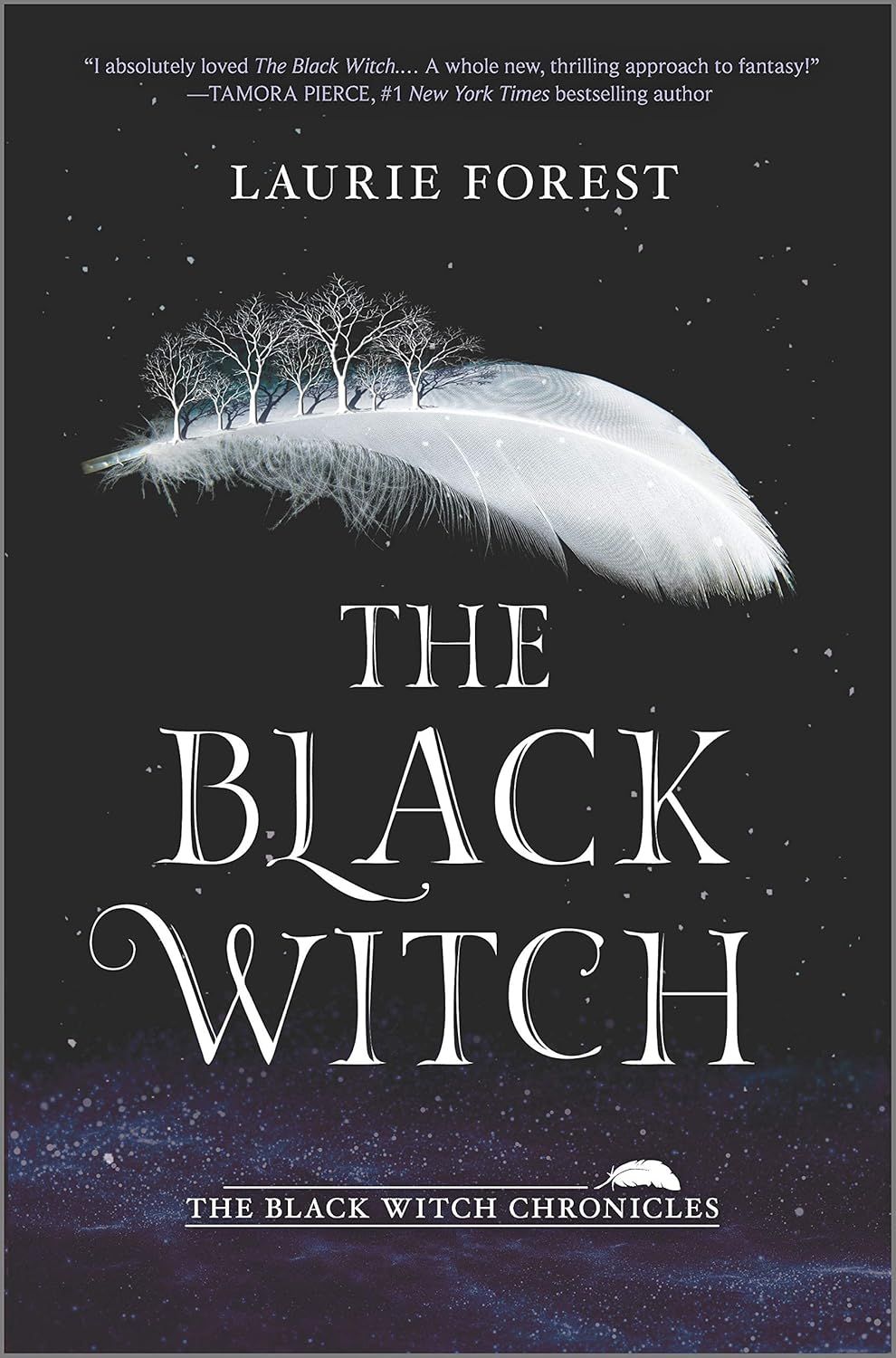 front cover of the black witch