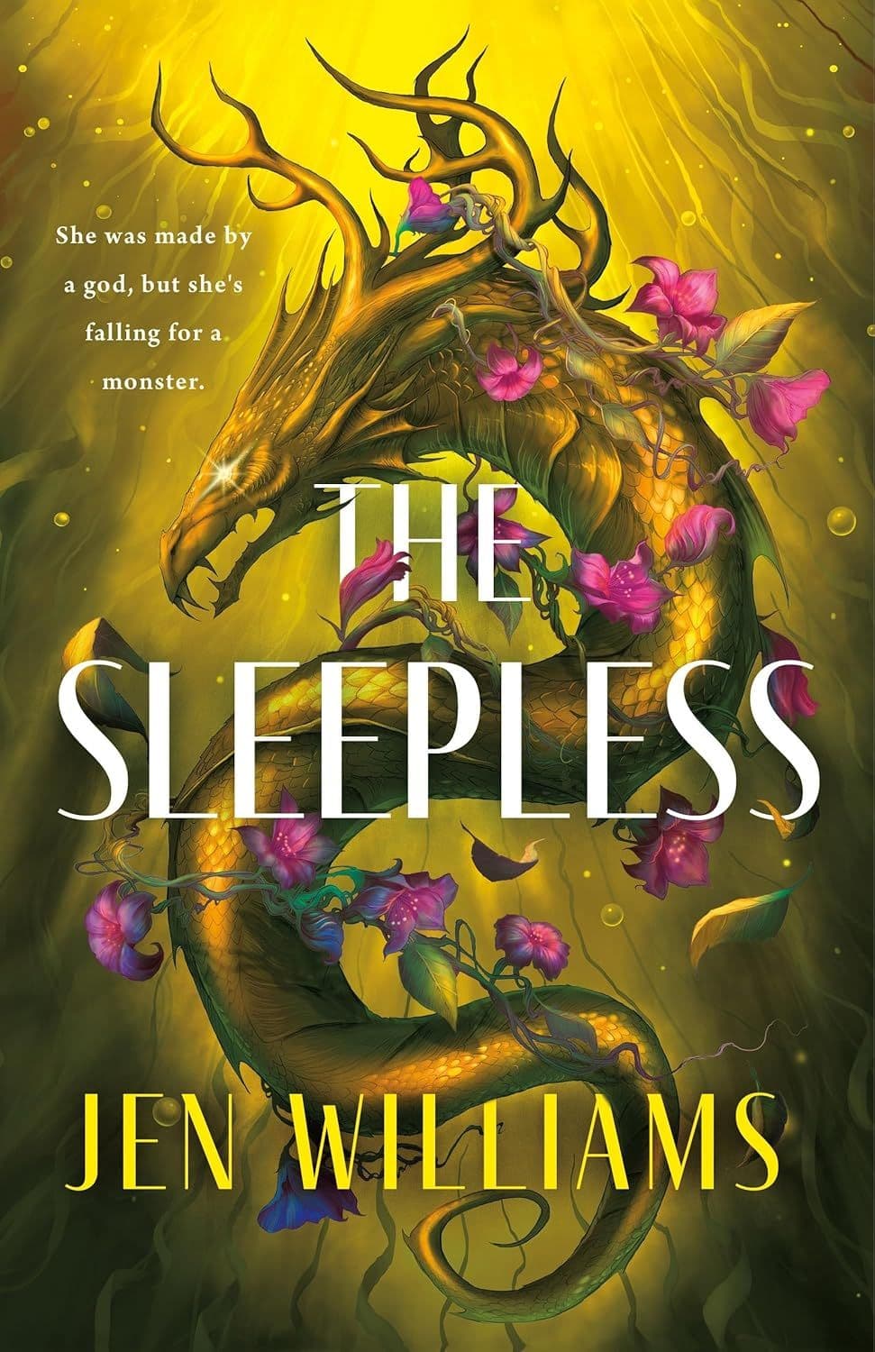 front cover of the sleepless