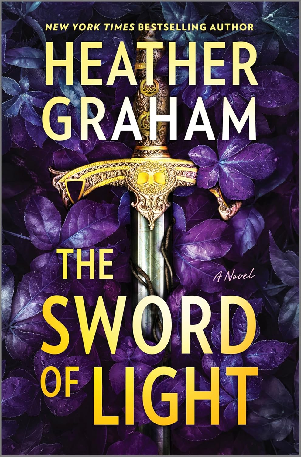 front cover of the sword of light